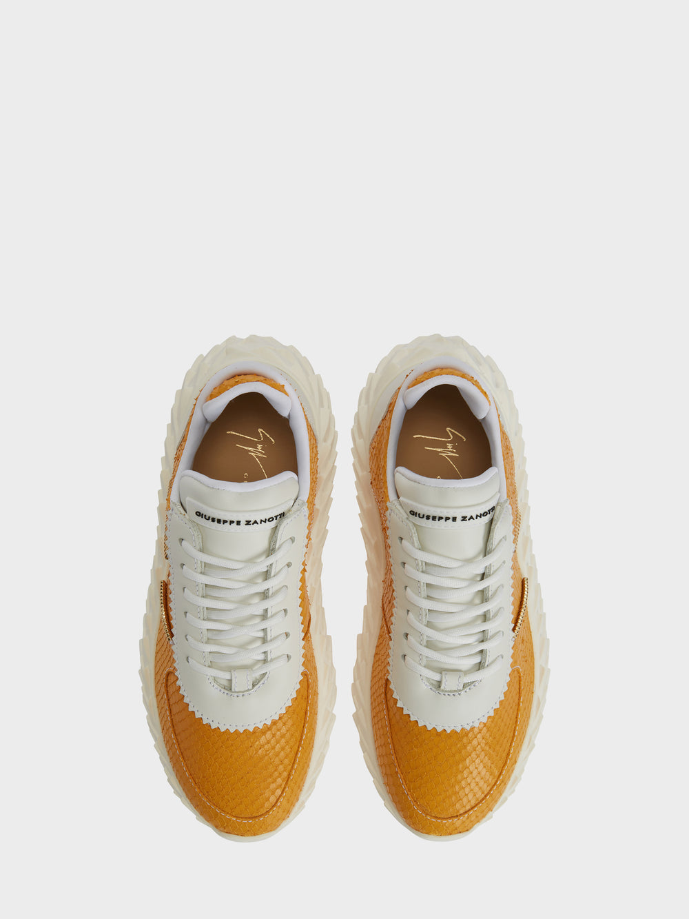 URCHIN LOW TOP