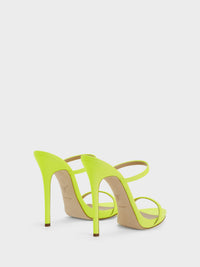 DARSEY MULE