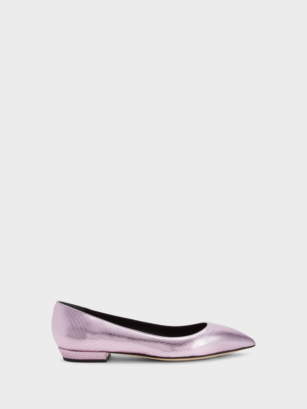 DHALIA BALLERINA