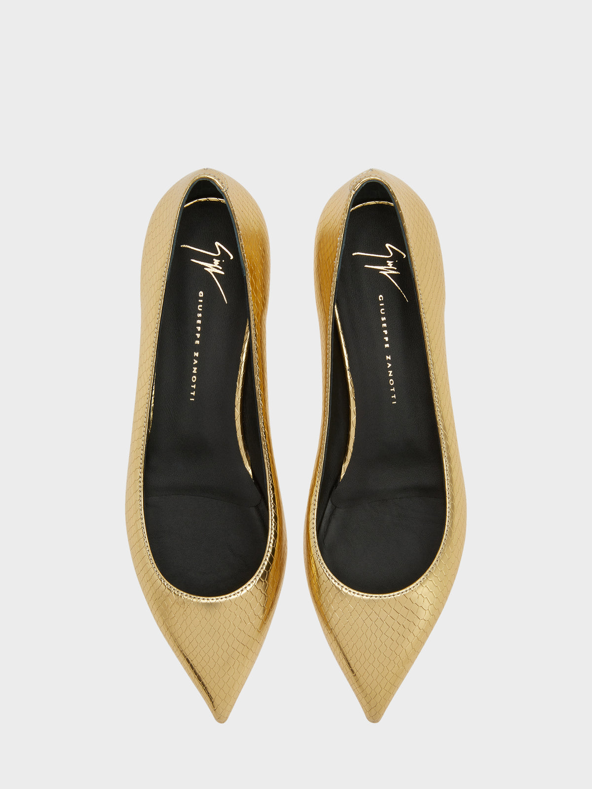 DHALIA BALLERINA