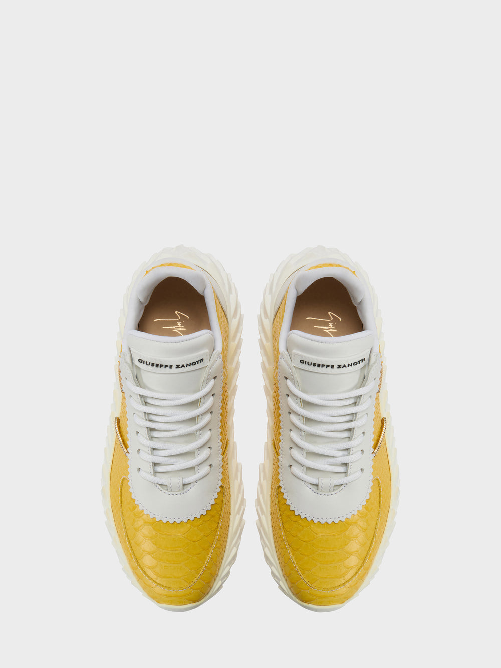 URCHIN LOW TOP