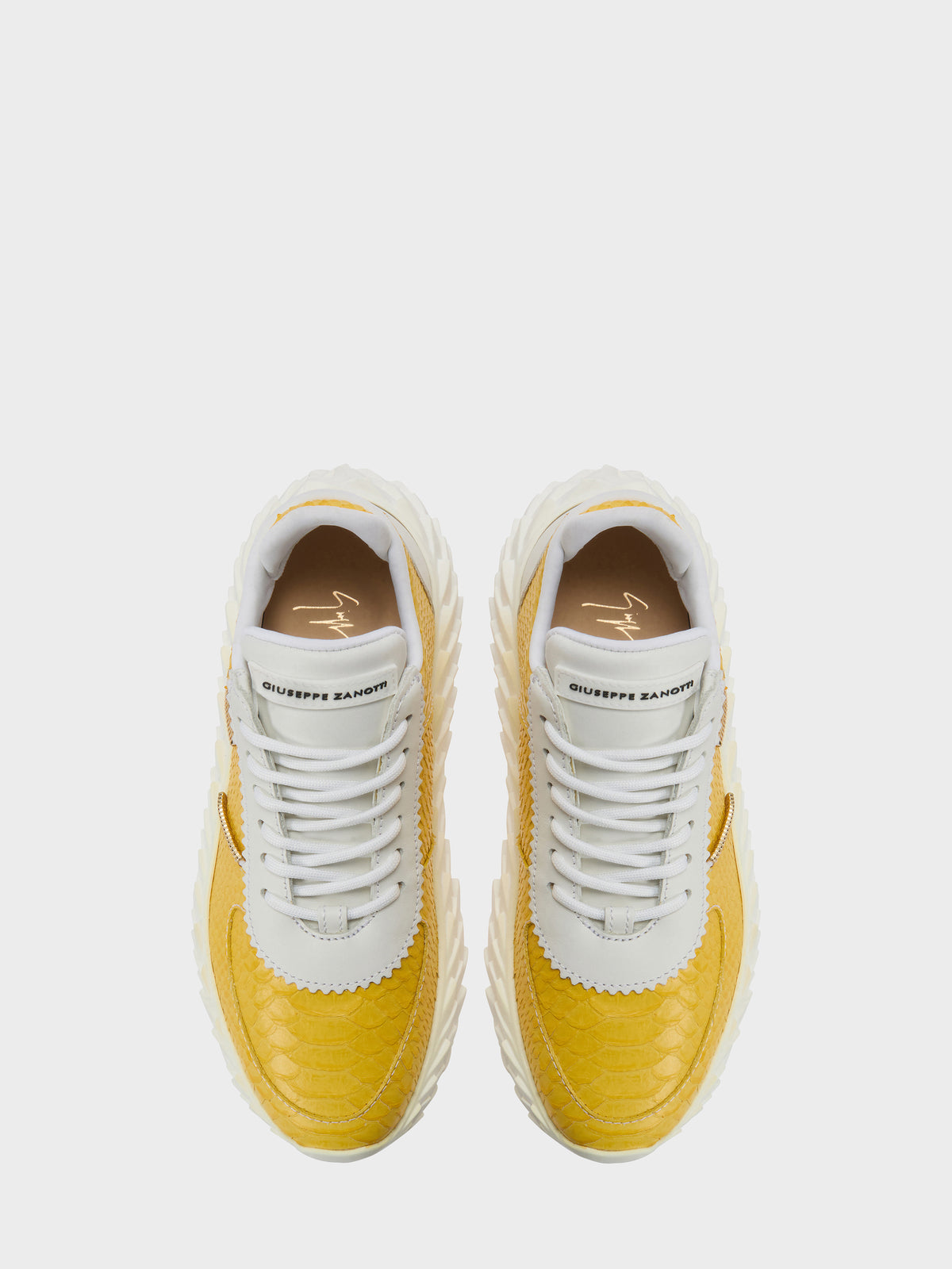 URCHIN LOW TOP