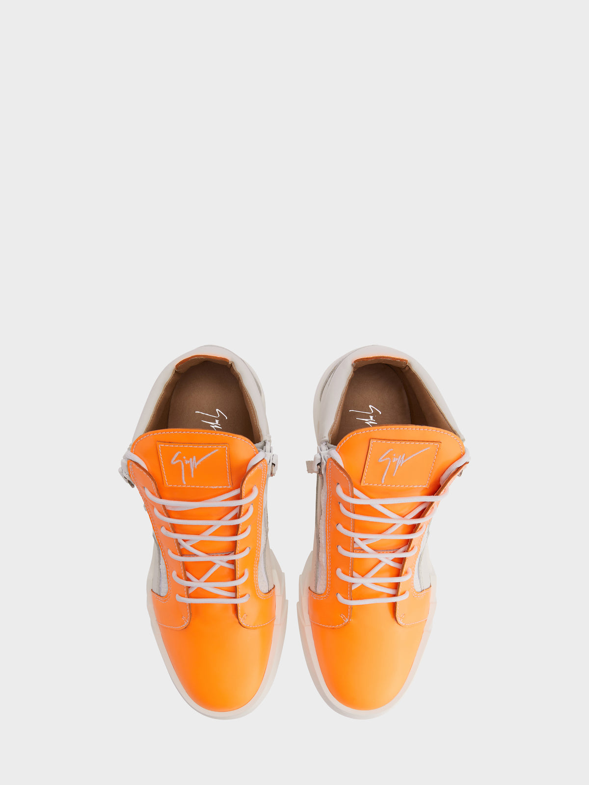 THE SHARK 5.0 MID TOP