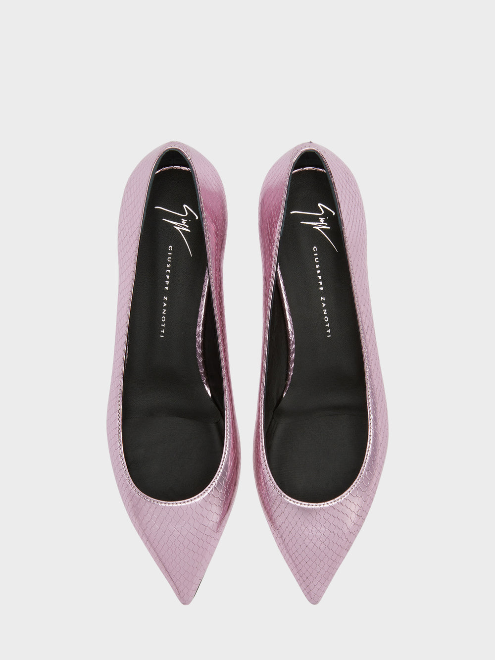 DHALIA BALLERINA