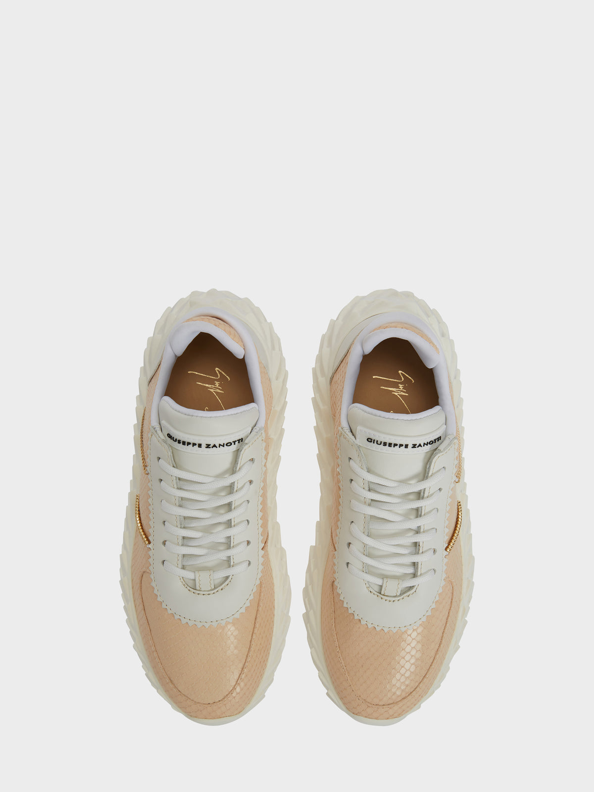 URCHIN LOW TOP