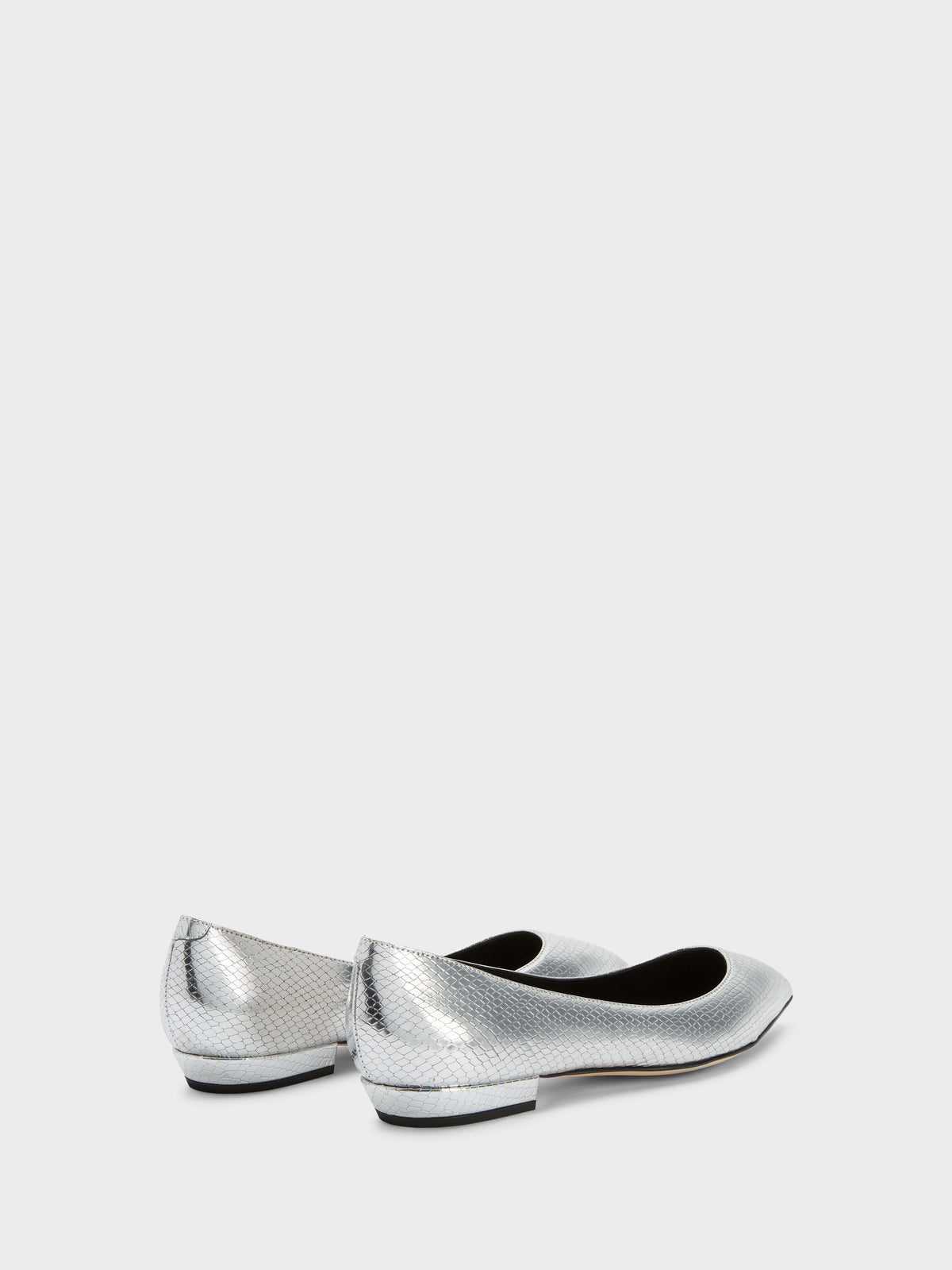 DHALIA BALLERINA