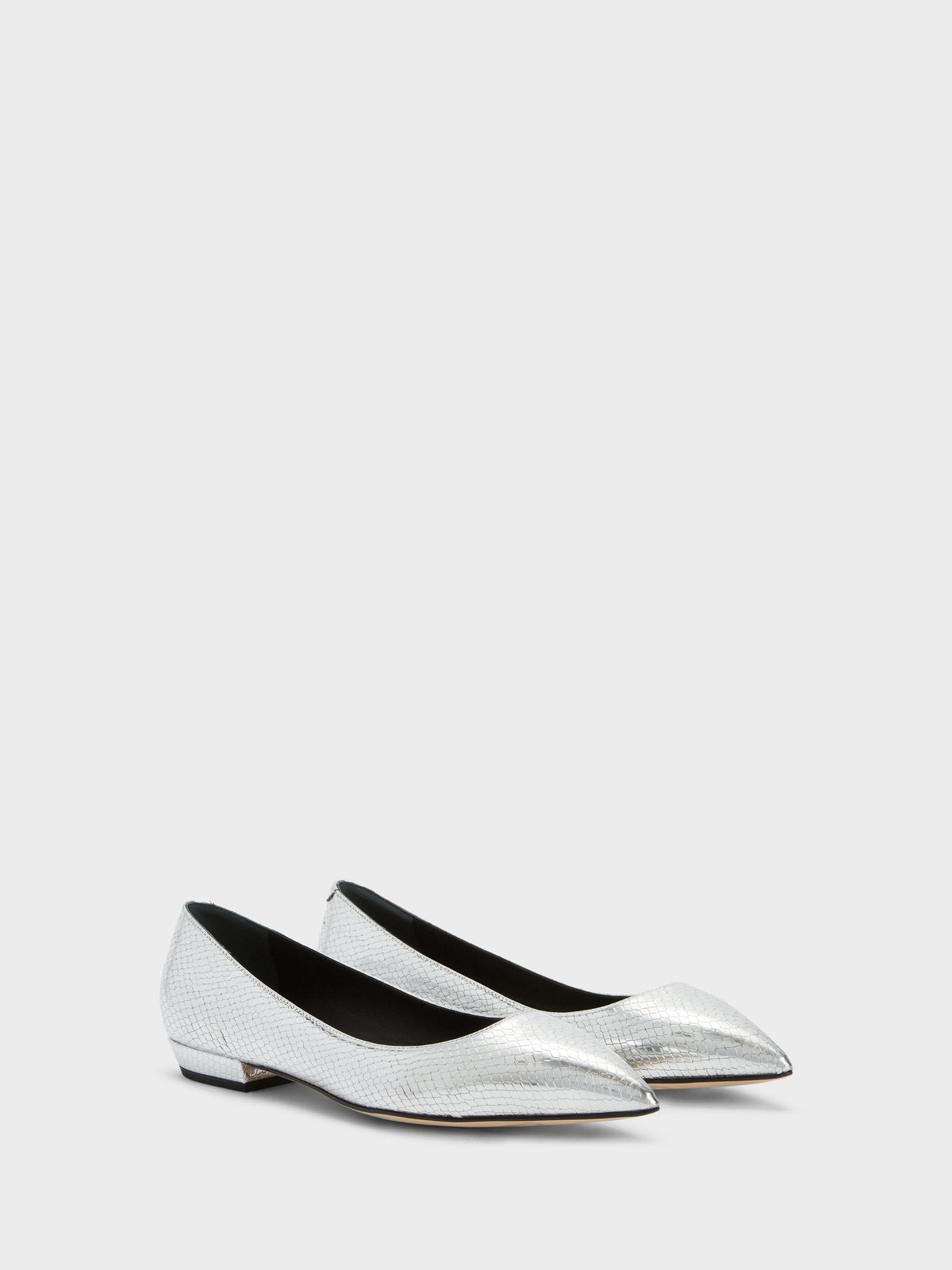 DHALIA BALLERINA