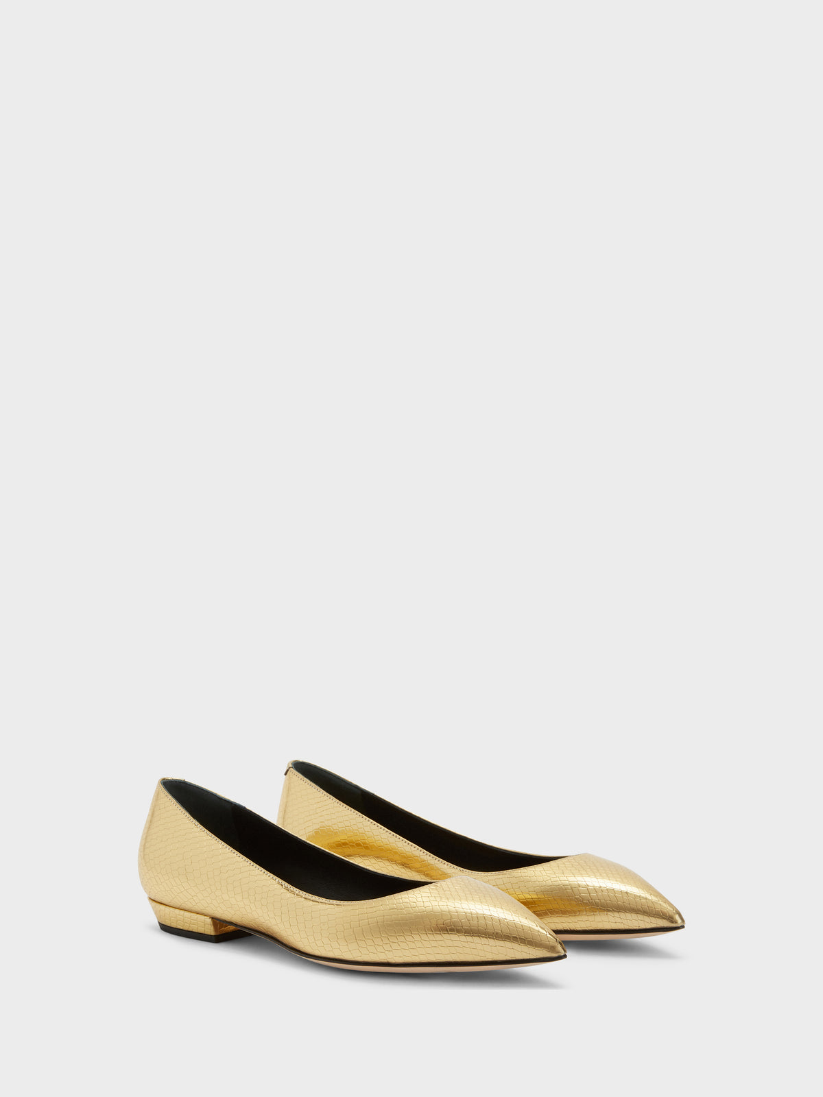 DHALIA BALLERINA