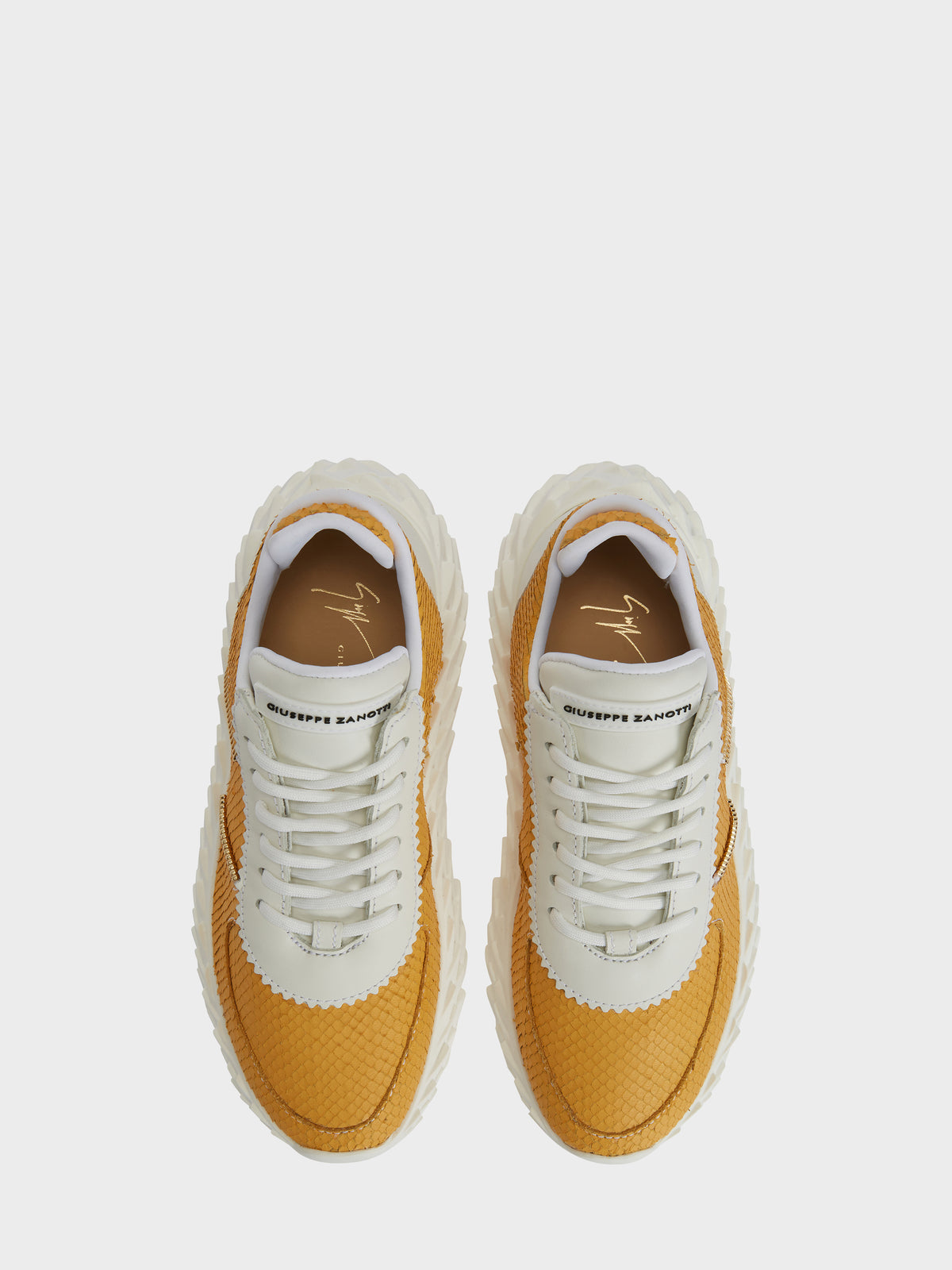 URCHIN LOW TOP
