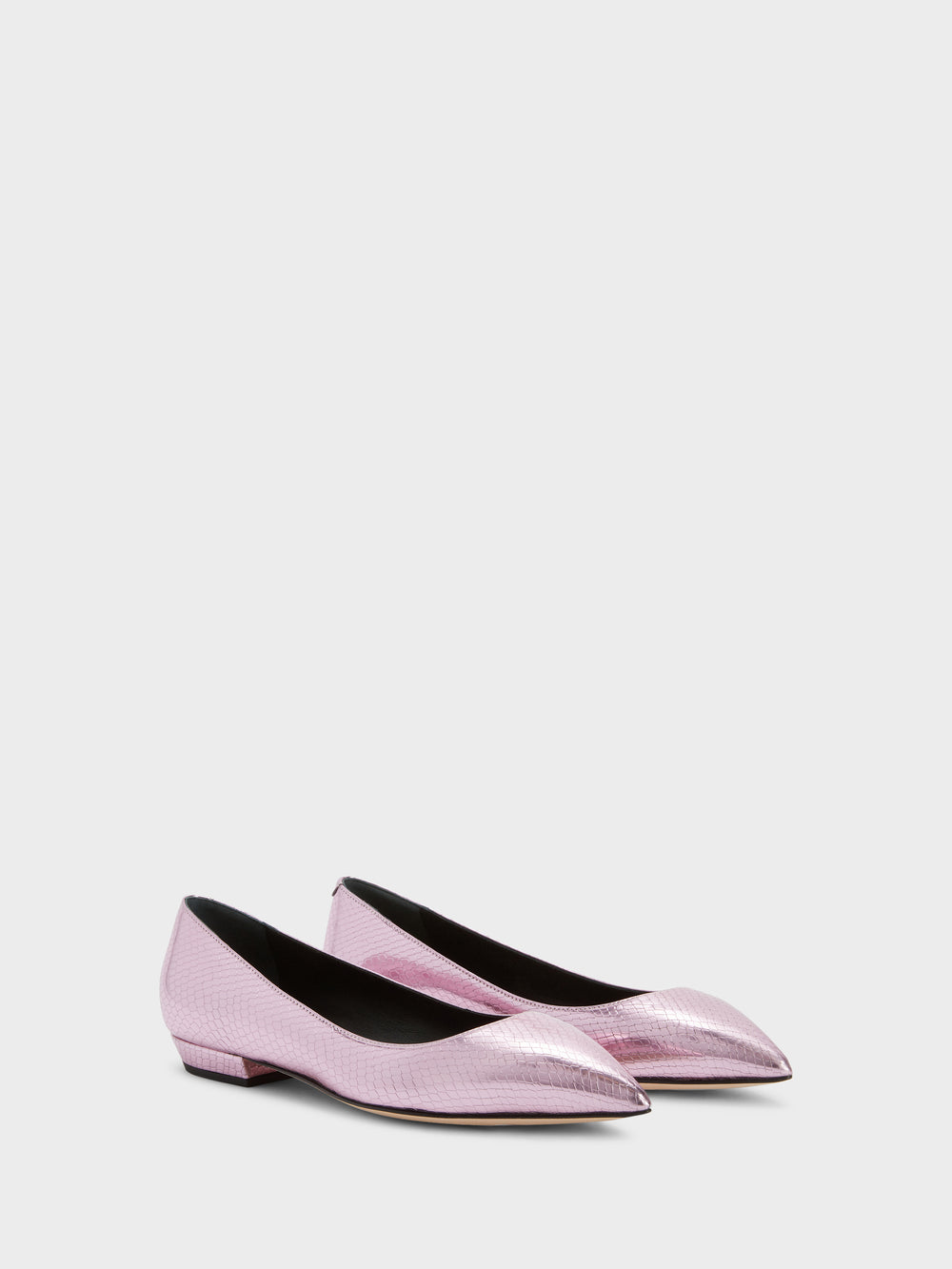 DHALIA BALLERINA