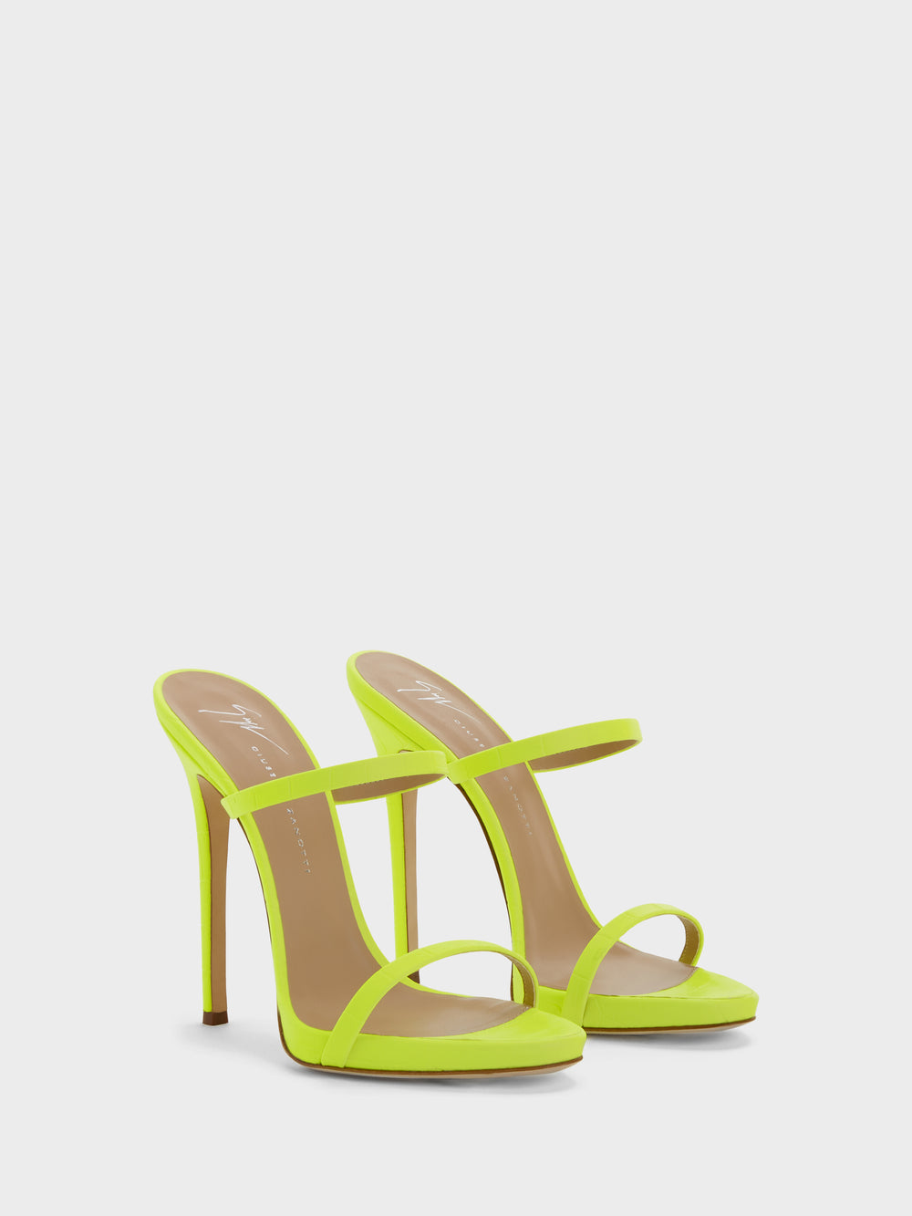 DARSEY MULE