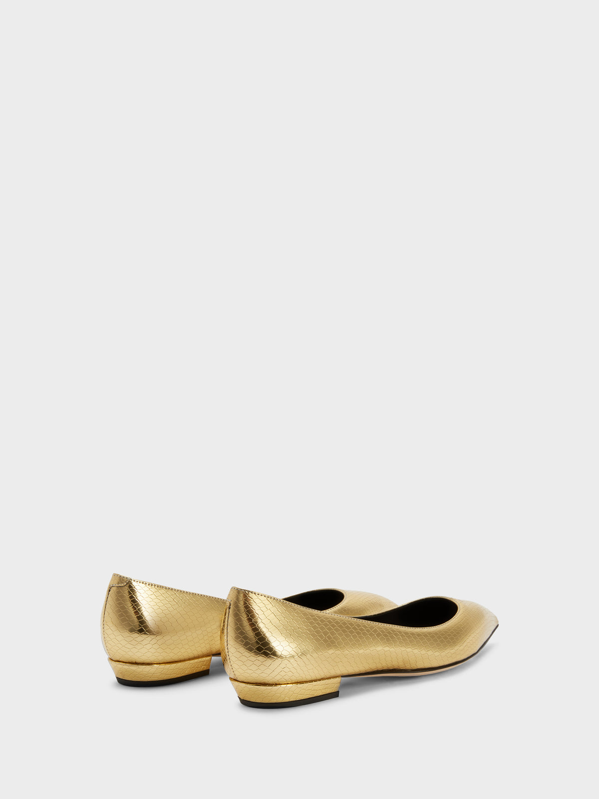 DHALIA BALLERINA