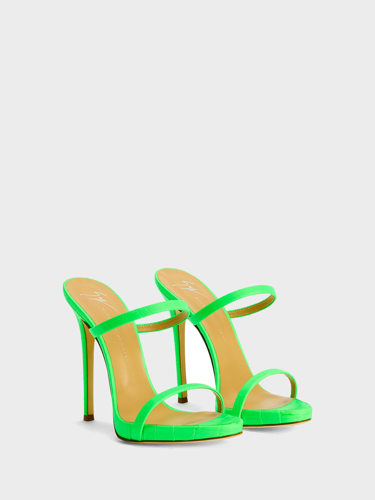 DARSEY MULE