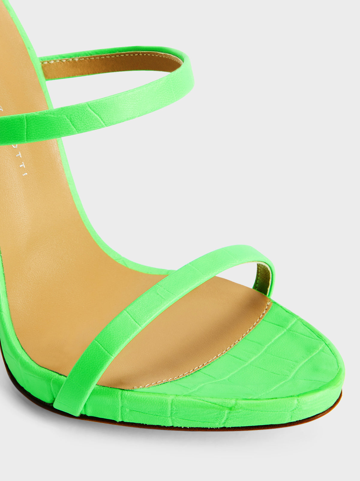 DARSEY MULE