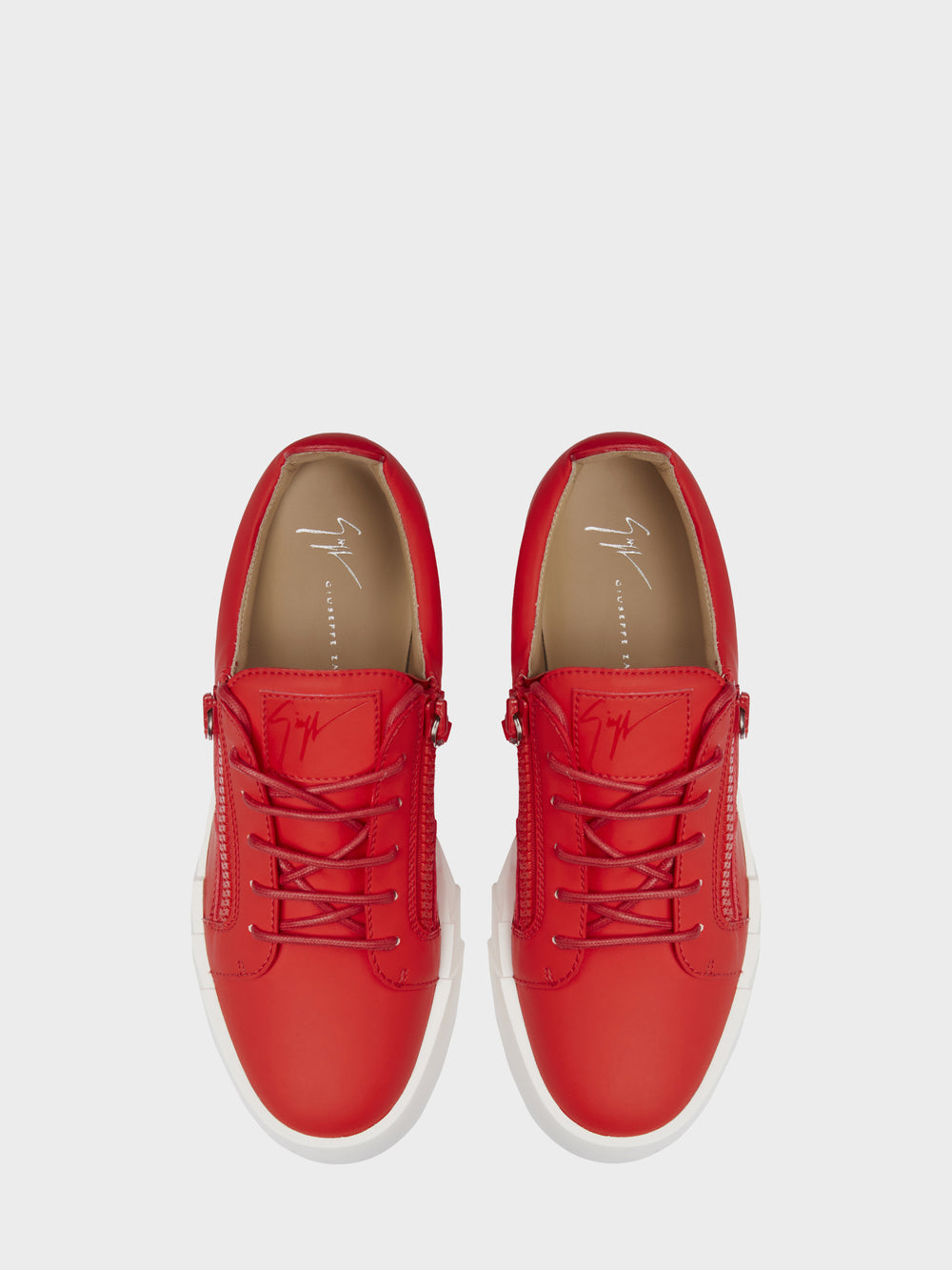 THE SHARK 5.0 LOW TOP