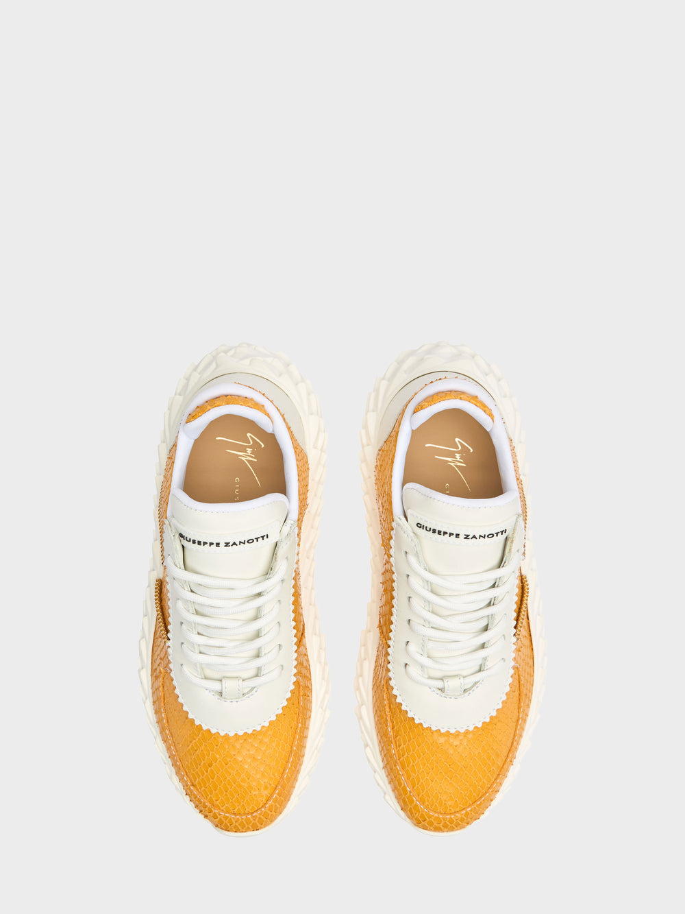 URCHIN LOW TOP