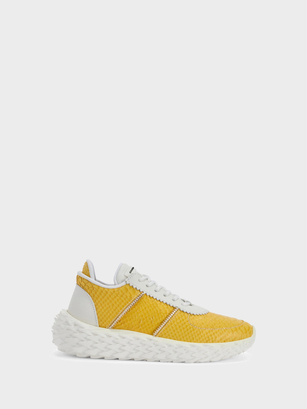 URCHIN LOW TOP