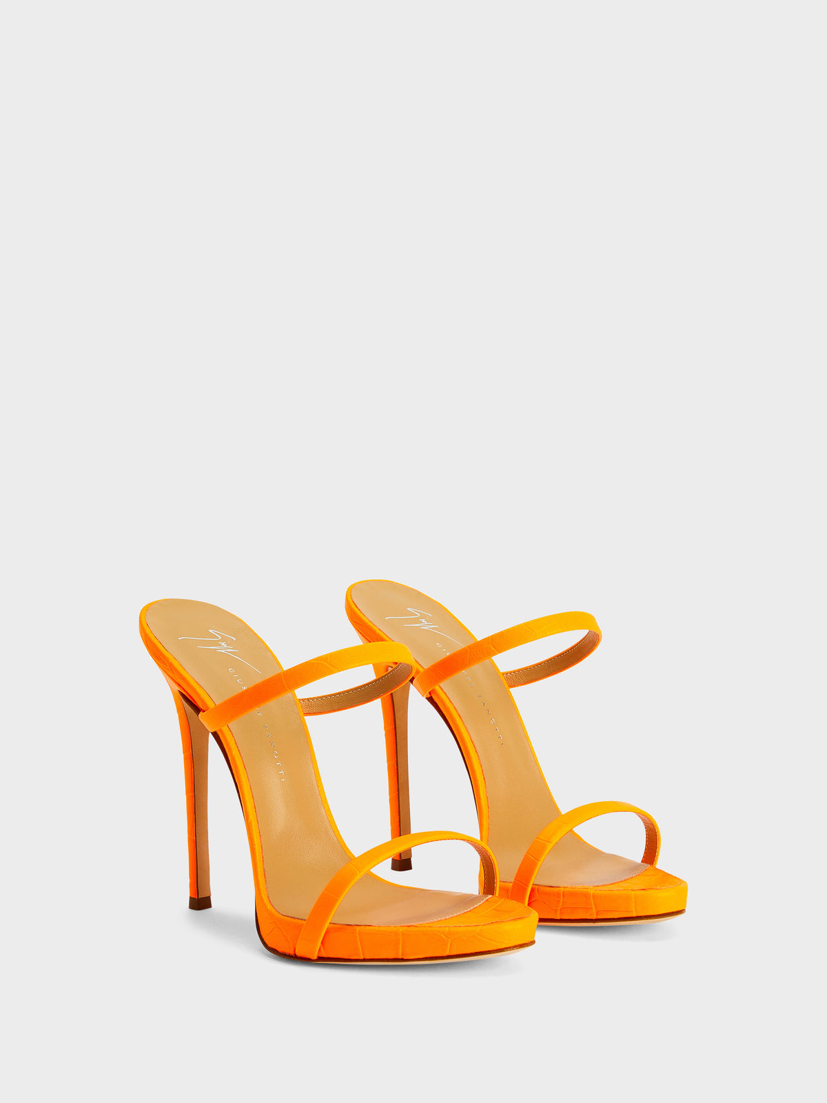 DARSEY MULE