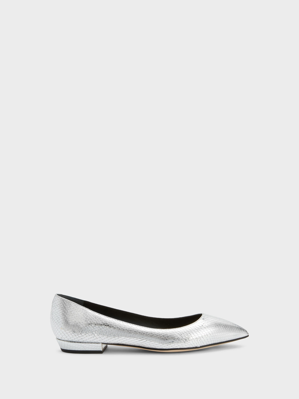 DHALIA BALLERINA