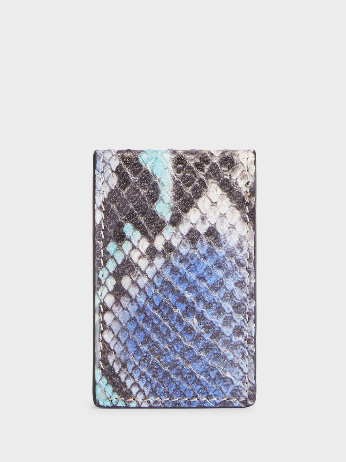 ALBERT CARD HOLDER
